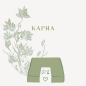 Preview: Kapha ausgleichende Produkte